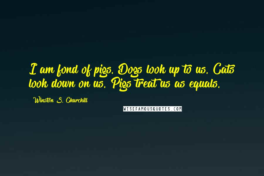 Winston S. Churchill Quotes: I am fond of pigs. Dogs look up to us. Cats look down on us. Pigs treat us as equals.