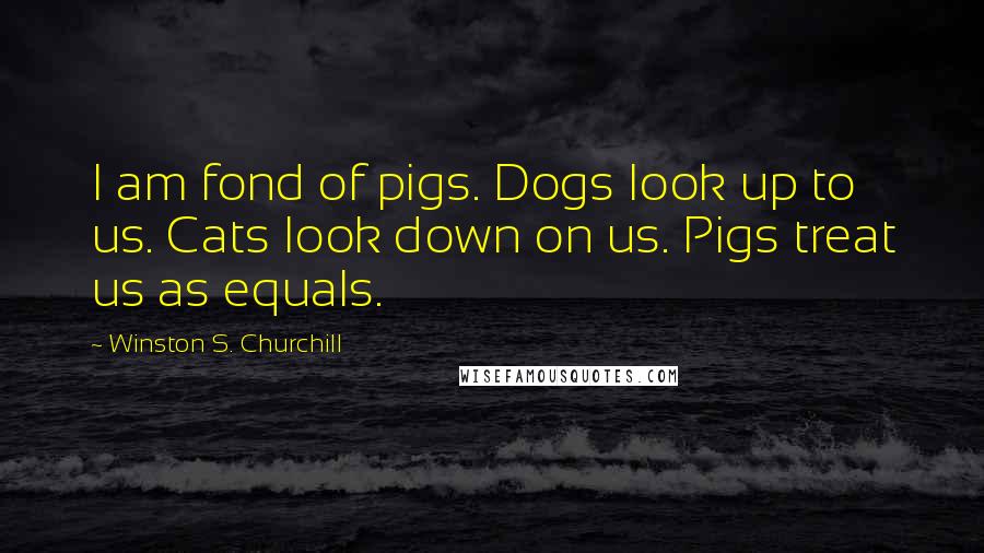 Winston S. Churchill Quotes: I am fond of pigs. Dogs look up to us. Cats look down on us. Pigs treat us as equals.