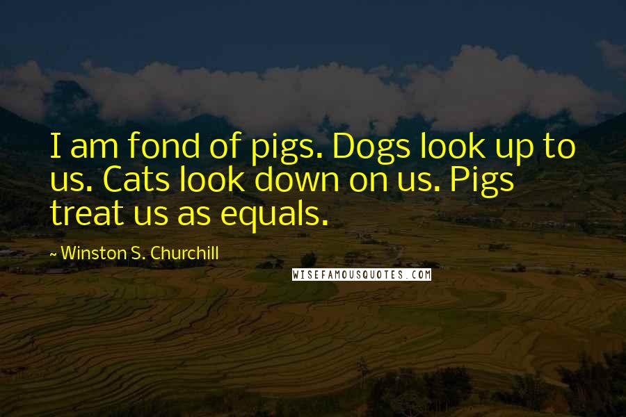 Winston S. Churchill Quotes: I am fond of pigs. Dogs look up to us. Cats look down on us. Pigs treat us as equals.