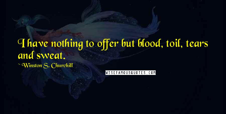 Winston S. Churchill Quotes: I have nothing to offer but blood, toil, tears and sweat.