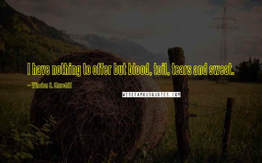 Winston S. Churchill Quotes: I have nothing to offer but blood, toil, tears and sweat.