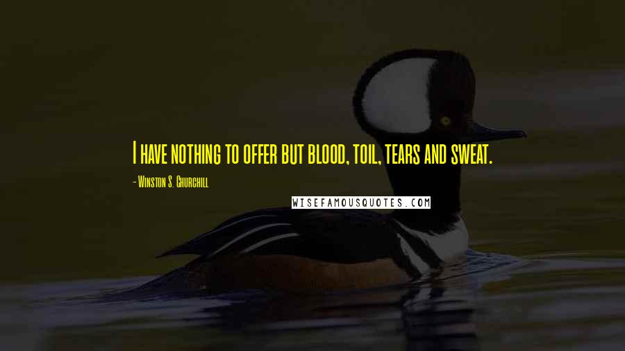 Winston S. Churchill Quotes: I have nothing to offer but blood, toil, tears and sweat.