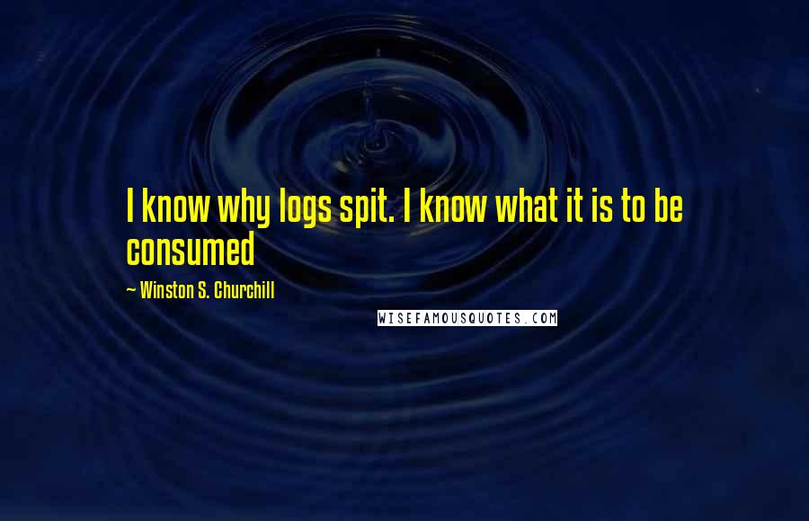 Winston S. Churchill Quotes: I know why logs spit. I know what it is to be consumed