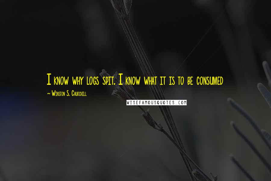 Winston S. Churchill Quotes: I know why logs spit. I know what it is to be consumed