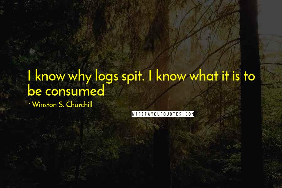 Winston S. Churchill Quotes: I know why logs spit. I know what it is to be consumed