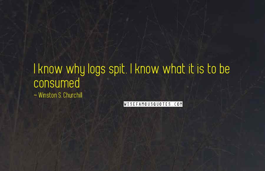 Winston S. Churchill Quotes: I know why logs spit. I know what it is to be consumed