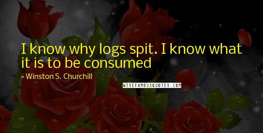 Winston S. Churchill Quotes: I know why logs spit. I know what it is to be consumed