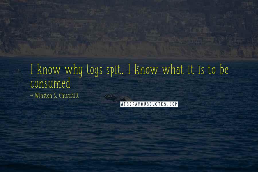 Winston S. Churchill Quotes: I know why logs spit. I know what it is to be consumed