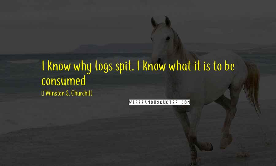 Winston S. Churchill Quotes: I know why logs spit. I know what it is to be consumed