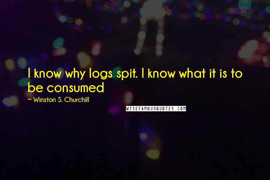 Winston S. Churchill Quotes: I know why logs spit. I know what it is to be consumed