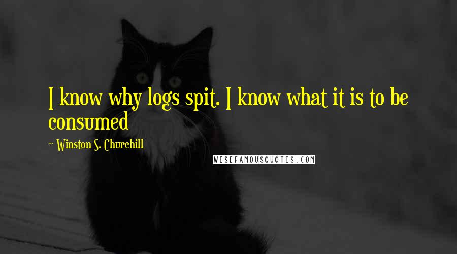 Winston S. Churchill Quotes: I know why logs spit. I know what it is to be consumed