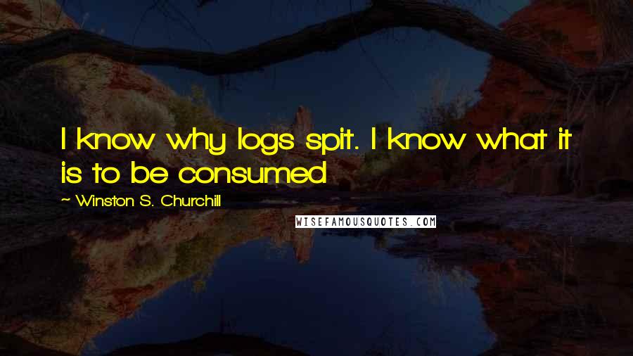 Winston S. Churchill Quotes: I know why logs spit. I know what it is to be consumed