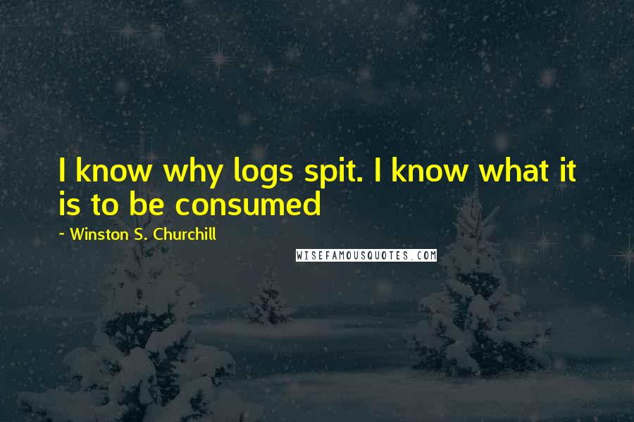 Winston S. Churchill Quotes: I know why logs spit. I know what it is to be consumed