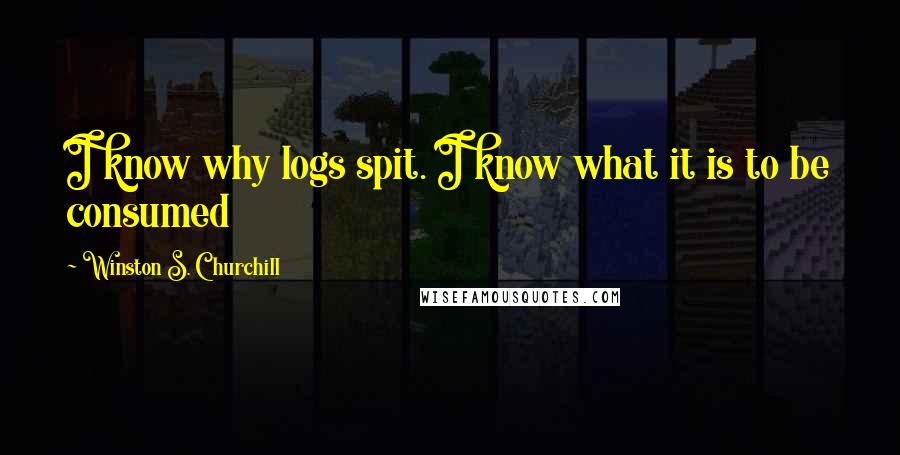 Winston S. Churchill Quotes: I know why logs spit. I know what it is to be consumed