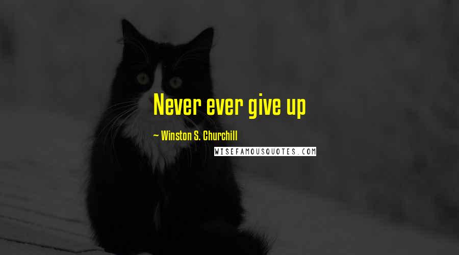 Winston S. Churchill Quotes: Never ever give up