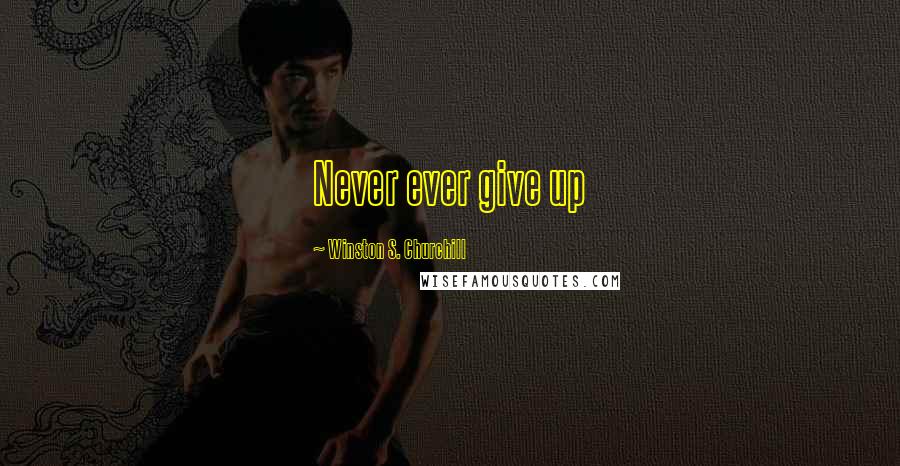 Winston S. Churchill Quotes: Never ever give up