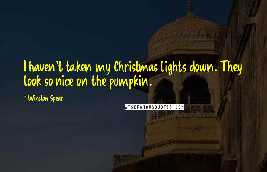 Winston Spear Quotes: I haven't taken my Christmas lights down. They look so nice on the pumpkin.