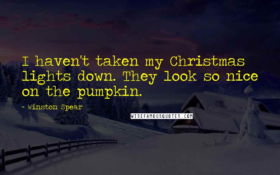 Winston Spear Quotes: I haven't taken my Christmas lights down. They look so nice on the pumpkin.