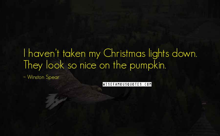 Winston Spear Quotes: I haven't taken my Christmas lights down. They look so nice on the pumpkin.