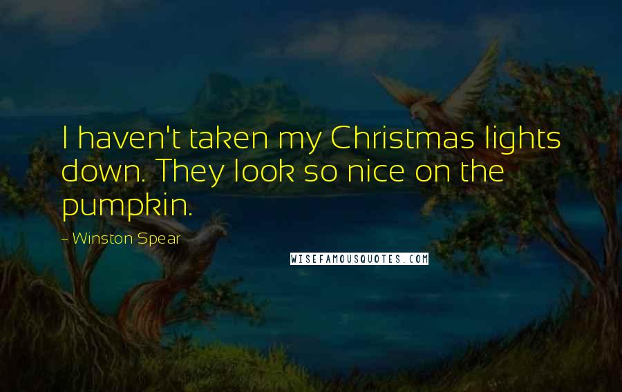 Winston Spear Quotes: I haven't taken my Christmas lights down. They look so nice on the pumpkin.