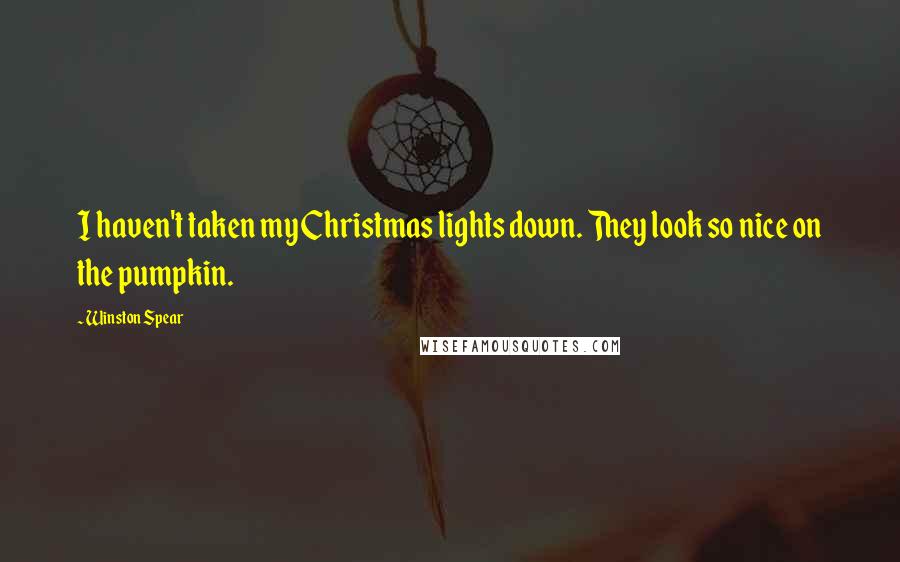 Winston Spear Quotes: I haven't taken my Christmas lights down. They look so nice on the pumpkin.