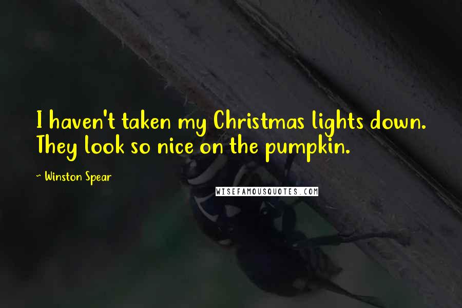 Winston Spear Quotes: I haven't taken my Christmas lights down. They look so nice on the pumpkin.