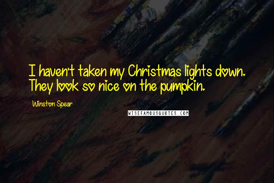 Winston Spear Quotes: I haven't taken my Christmas lights down. They look so nice on the pumpkin.