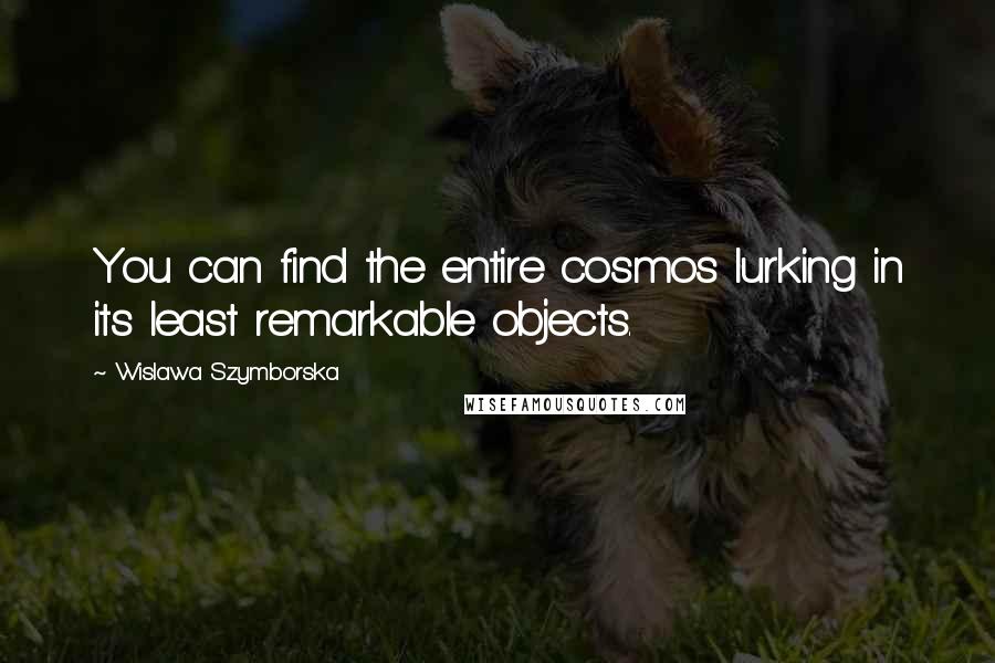 Wislawa Szymborska Quotes: You can find the entire cosmos lurking in its least remarkable objects.