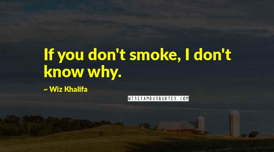 Wiz Khalifa Quotes: If you don't smoke, I don't know why.