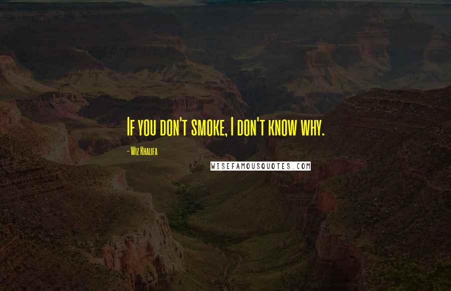 Wiz Khalifa Quotes: If you don't smoke, I don't know why.