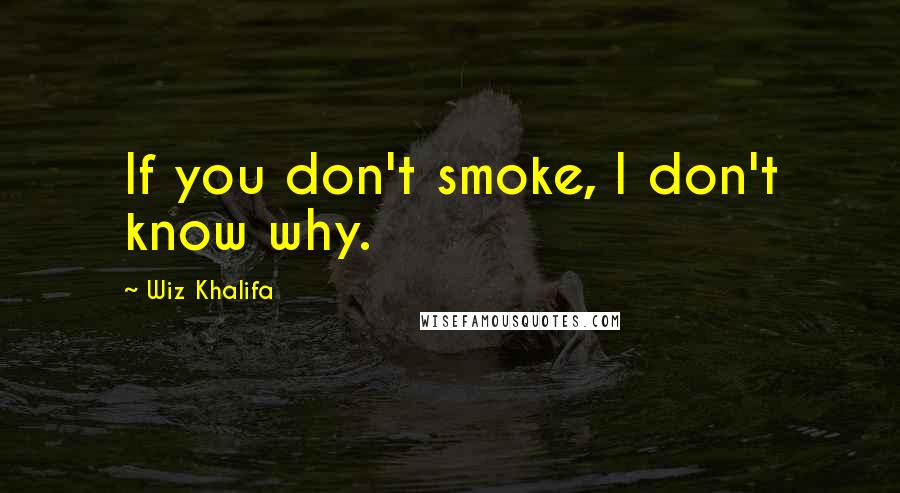 Wiz Khalifa Quotes: If you don't smoke, I don't know why.