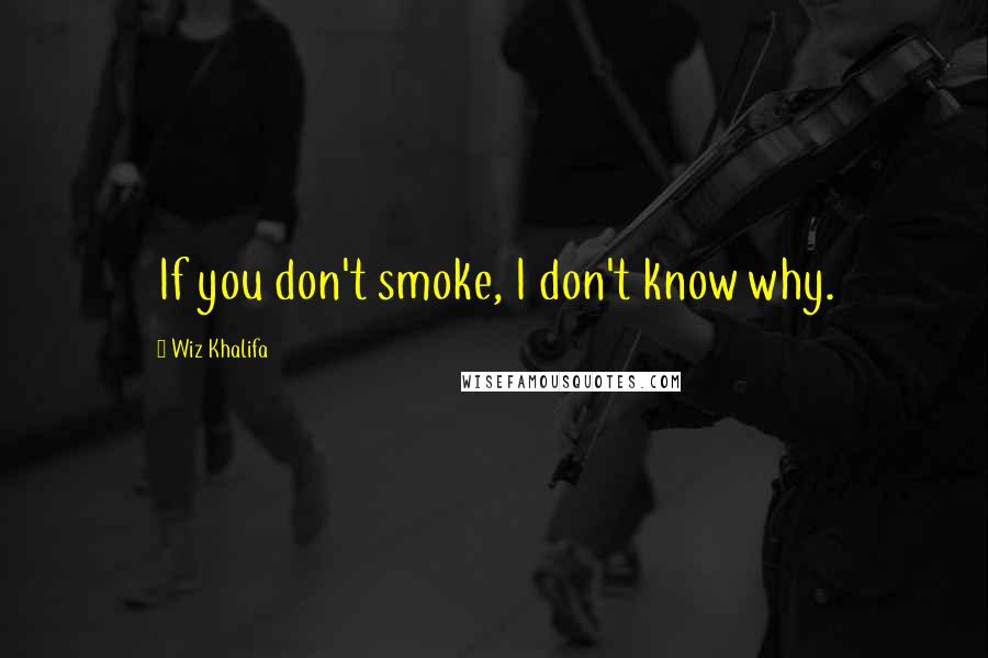 Wiz Khalifa Quotes: If you don't smoke, I don't know why.