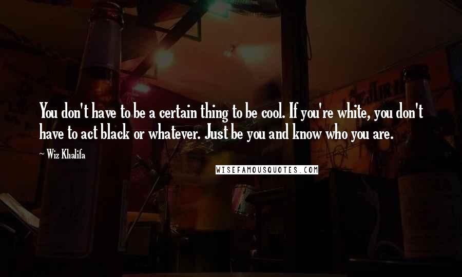 Wiz Khalifa Quotes: You don't have to be a certain thing to be cool. If you're white, you don't have to act black or whatever. Just be you and know who you are.