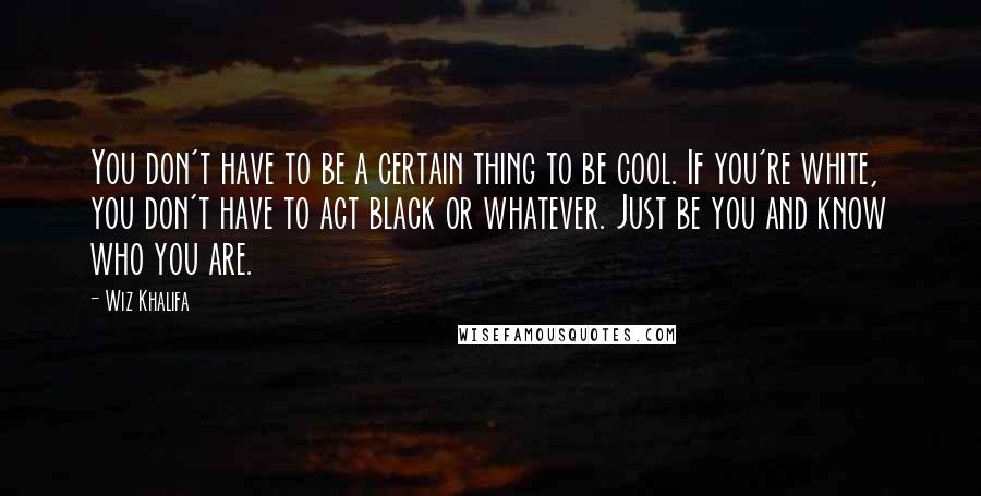 Wiz Khalifa Quotes: You don't have to be a certain thing to be cool. If you're white, you don't have to act black or whatever. Just be you and know who you are.