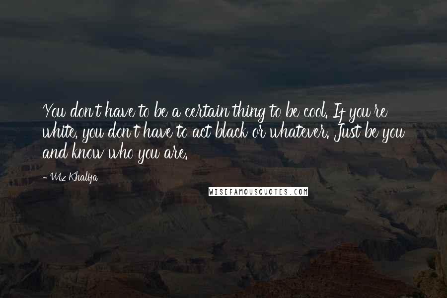 Wiz Khalifa Quotes: You don't have to be a certain thing to be cool. If you're white, you don't have to act black or whatever. Just be you and know who you are.