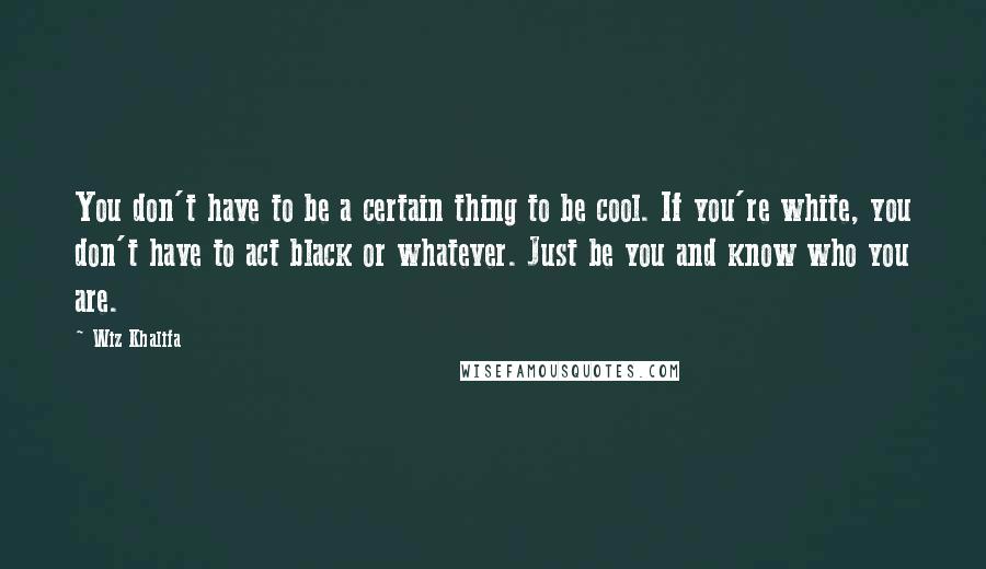 Wiz Khalifa Quotes: You don't have to be a certain thing to be cool. If you're white, you don't have to act black or whatever. Just be you and know who you are.