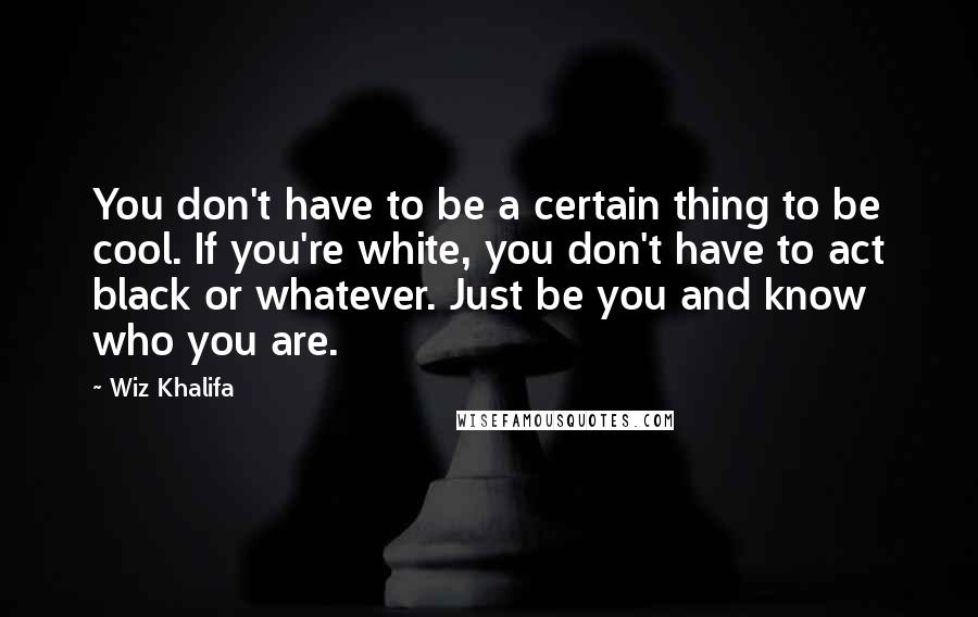 Wiz Khalifa Quotes: You don't have to be a certain thing to be cool. If you're white, you don't have to act black or whatever. Just be you and know who you are.