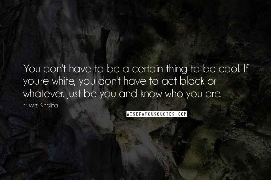 Wiz Khalifa Quotes: You don't have to be a certain thing to be cool. If you're white, you don't have to act black or whatever. Just be you and know who you are.