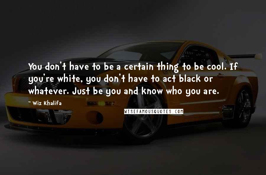 Wiz Khalifa Quotes: You don't have to be a certain thing to be cool. If you're white, you don't have to act black or whatever. Just be you and know who you are.