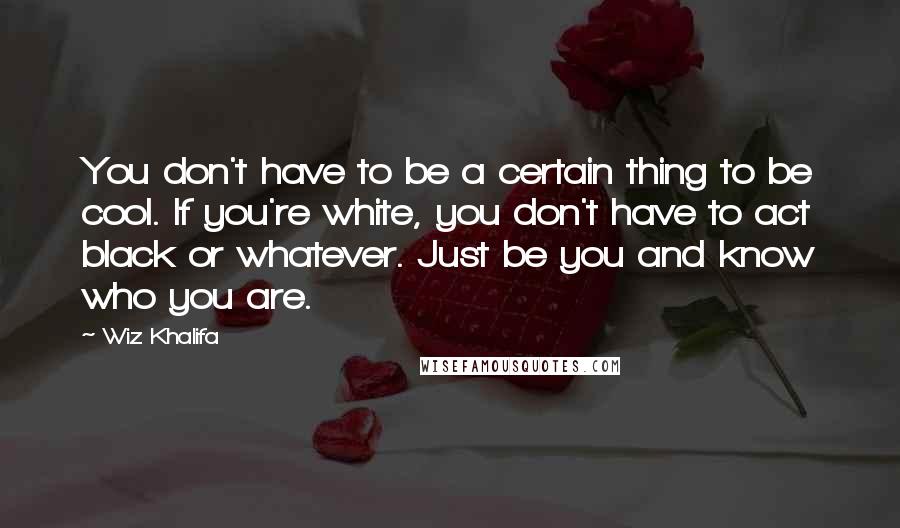 Wiz Khalifa Quotes: You don't have to be a certain thing to be cool. If you're white, you don't have to act black or whatever. Just be you and know who you are.