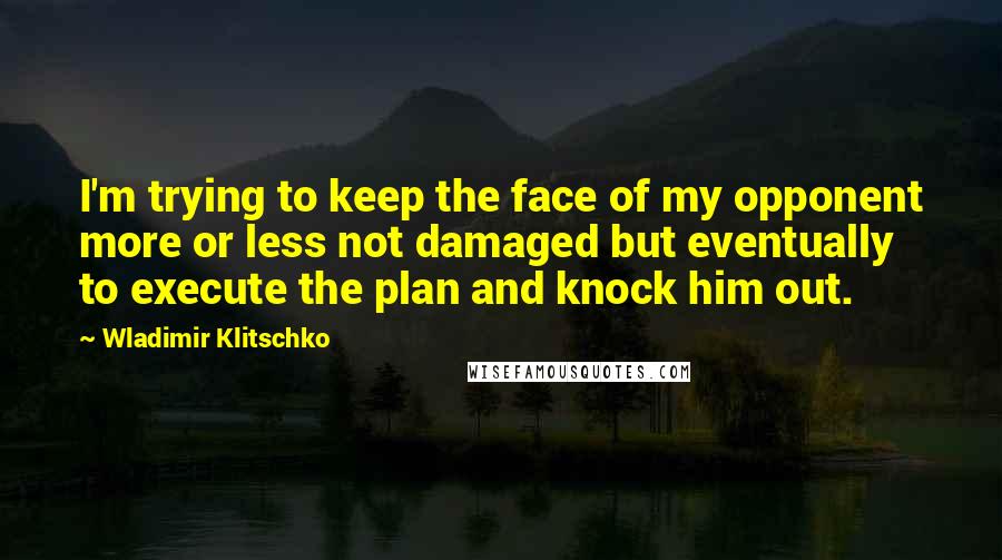 Wladimir Klitschko Quotes: I'm trying to keep the face of my opponent more or less not damaged but eventually to execute the plan and knock him out.