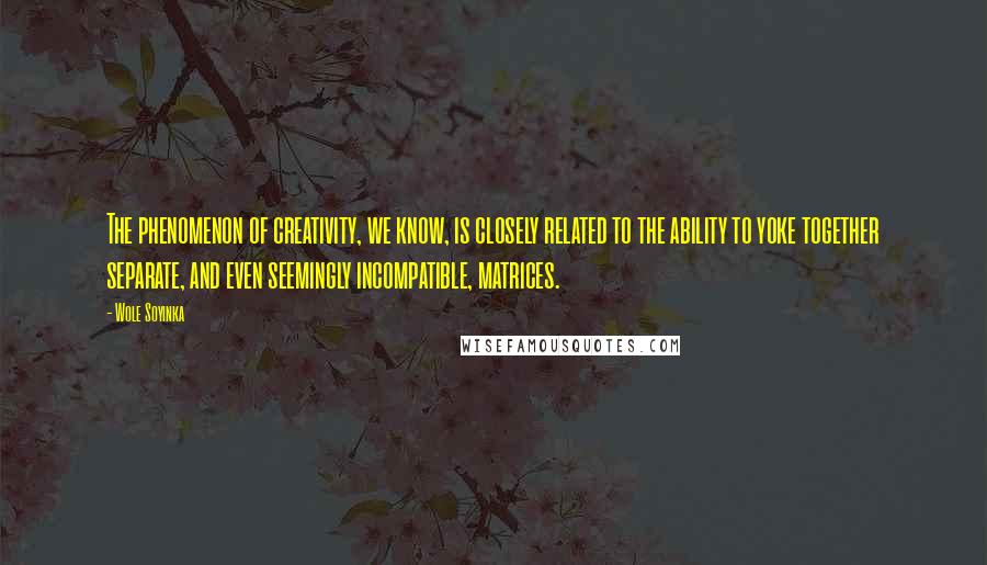 Wole Soyinka Quotes: The phenomenon of creativity, we know, is closely related to the ability to yoke together separate, and even seemingly incompatible, matrices.