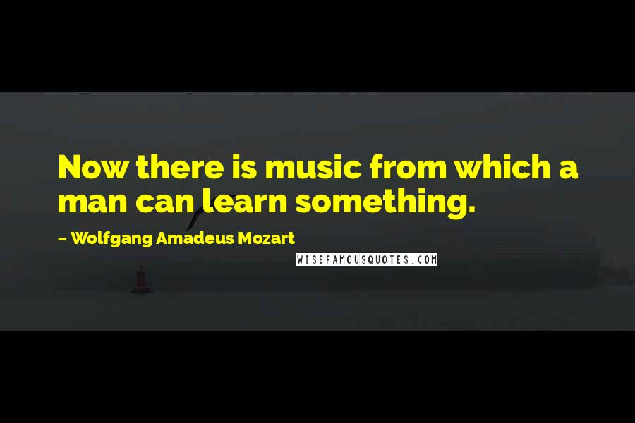 Wolfgang Amadeus Mozart Quotes: Now there is music from which a man can learn something.