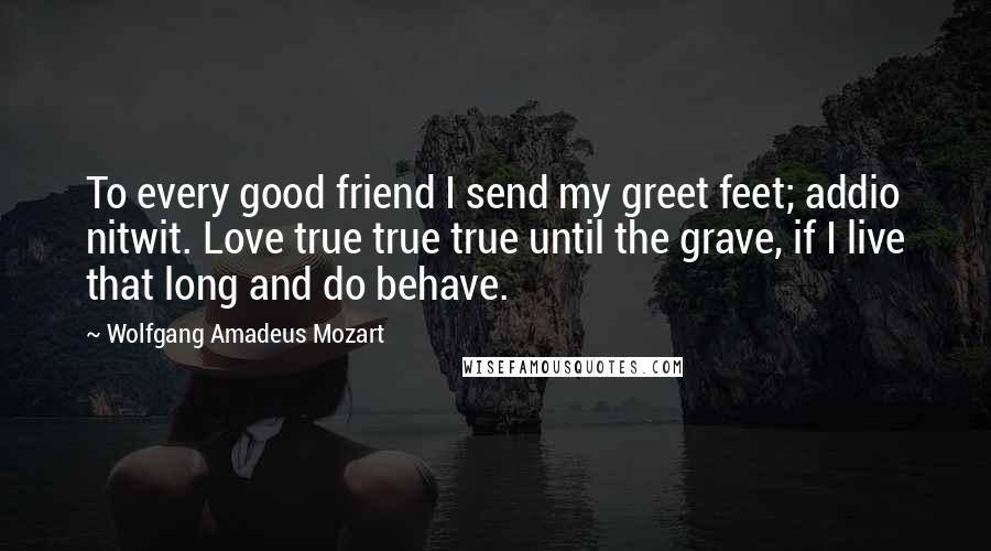 Wolfgang Amadeus Mozart Quotes: To every good friend I send my greet feet; addio nitwit. Love true true true until the grave, if I live that long and do behave.