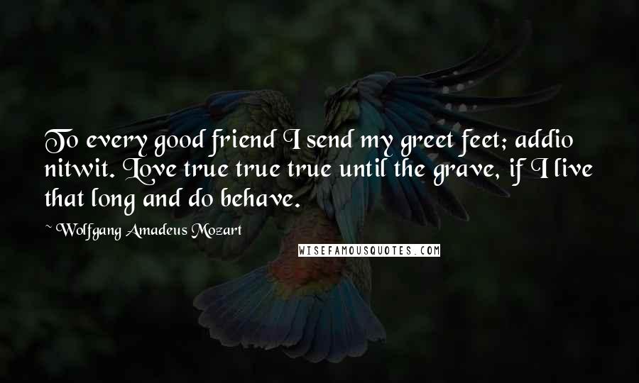 Wolfgang Amadeus Mozart Quotes: To every good friend I send my greet feet; addio nitwit. Love true true true until the grave, if I live that long and do behave.