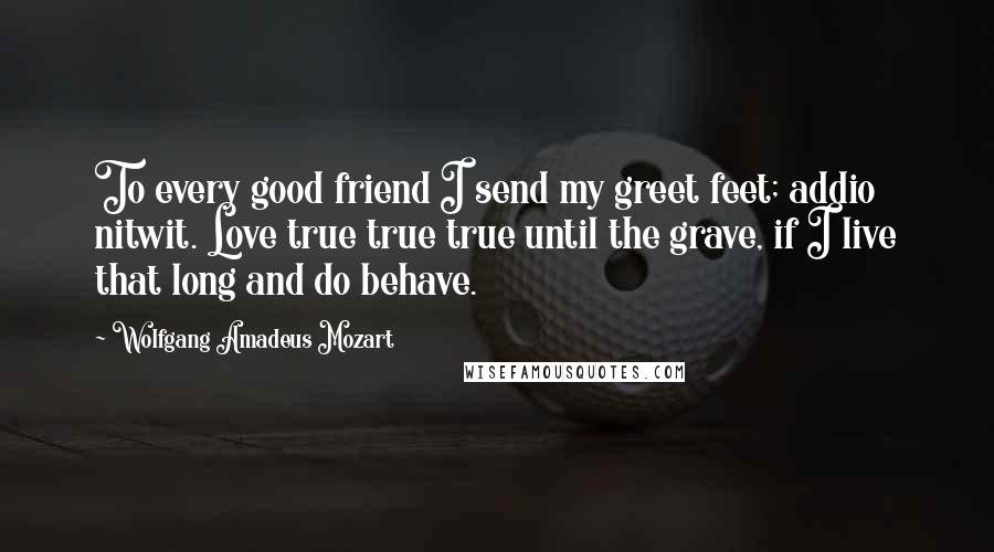 Wolfgang Amadeus Mozart Quotes: To every good friend I send my greet feet; addio nitwit. Love true true true until the grave, if I live that long and do behave.