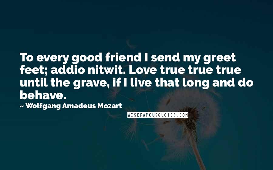 Wolfgang Amadeus Mozart Quotes: To every good friend I send my greet feet; addio nitwit. Love true true true until the grave, if I live that long and do behave.