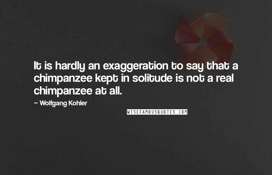 Wolfgang Kohler Quotes: It is hardly an exaggeration to say that a chimpanzee kept in solitude is not a real chimpanzee at all.