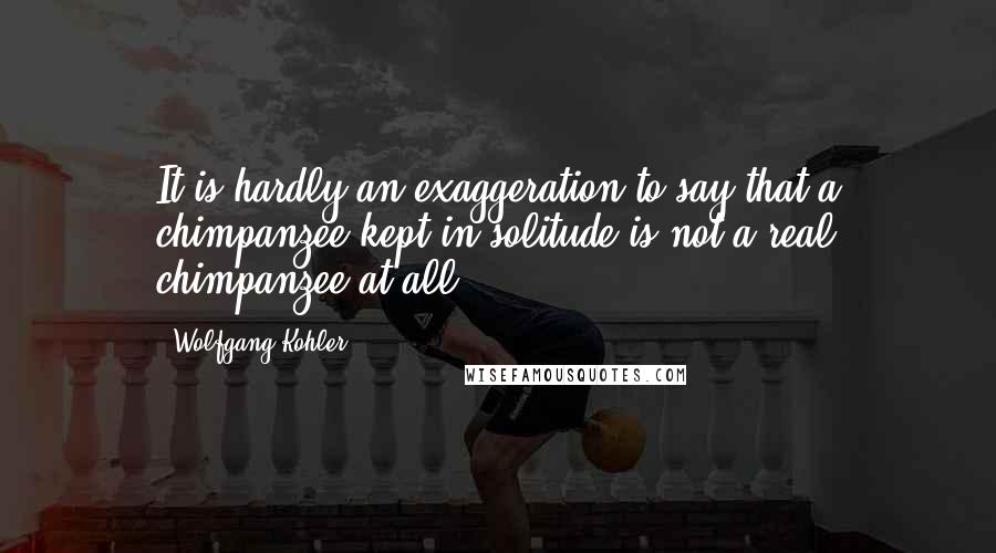 Wolfgang Kohler Quotes: It is hardly an exaggeration to say that a chimpanzee kept in solitude is not a real chimpanzee at all.