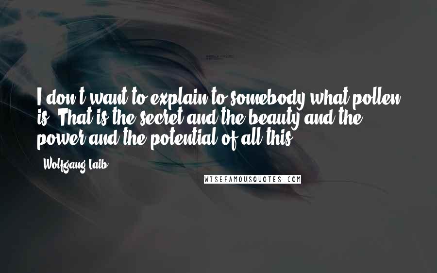 Wolfgang Laib Quotes: I don't want to explain to somebody what pollen is. That is the secret and the beauty and the power and the potential of all this.